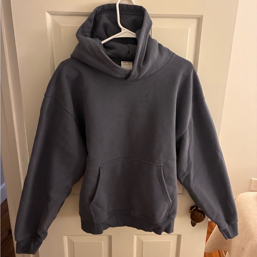 Aritzia Sweatfleece Hoodie - Picture 4 of 4